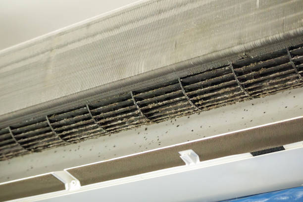 Best HVAC Duct Inspection Services  in Flying Hills, PA